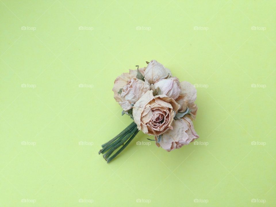 Bouquet of mini roses on yellow background 