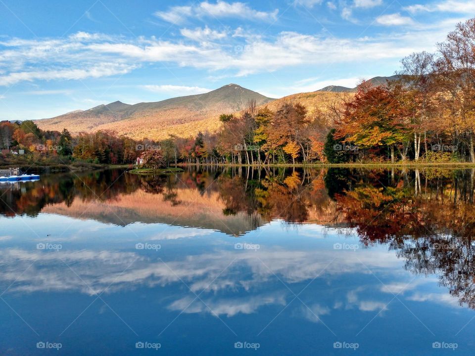 fall reflection