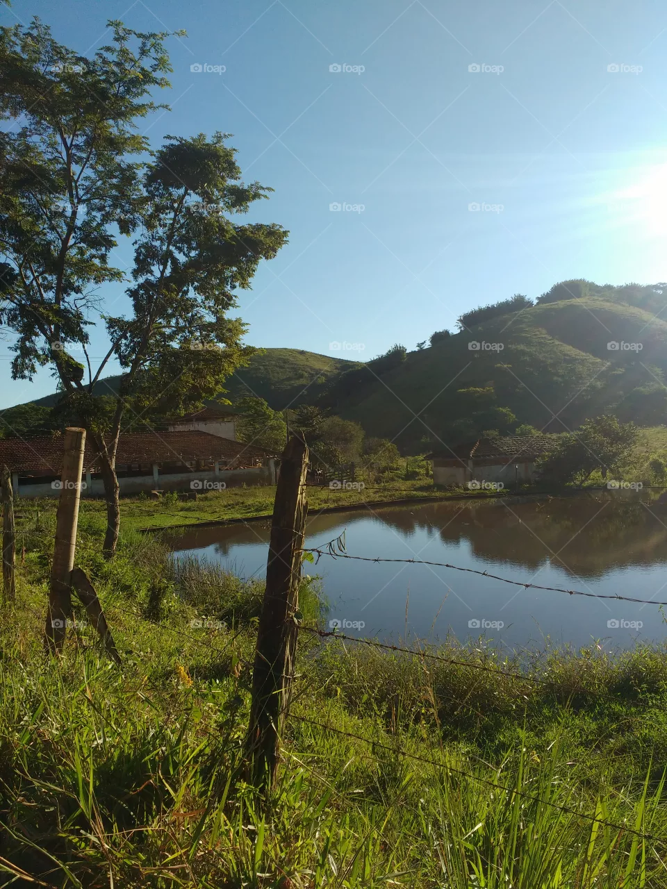 lindo
