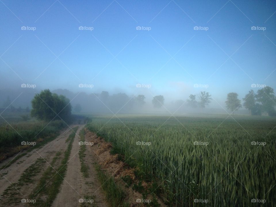 No Person, Landscape, Rural, Countryside, Sky