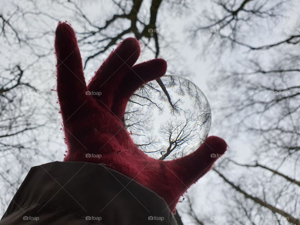 A portrait of a hand with a red glove of a person holding a lens ball up in a forest. the glass ball distorts the trees