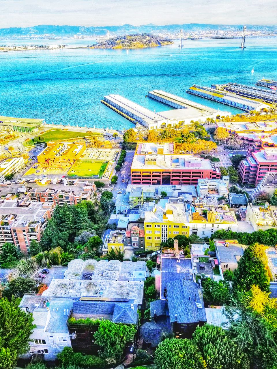 SAN FRANCISCO|california