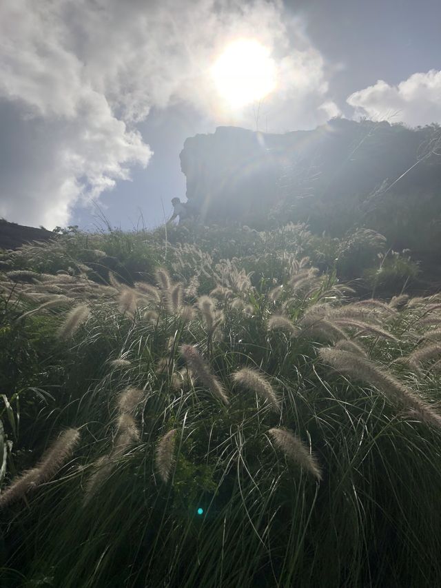 Hawaiian trails