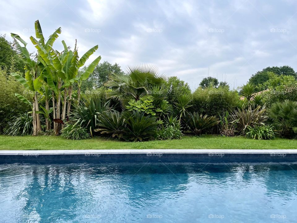 Swimming pool against trees and sky. 