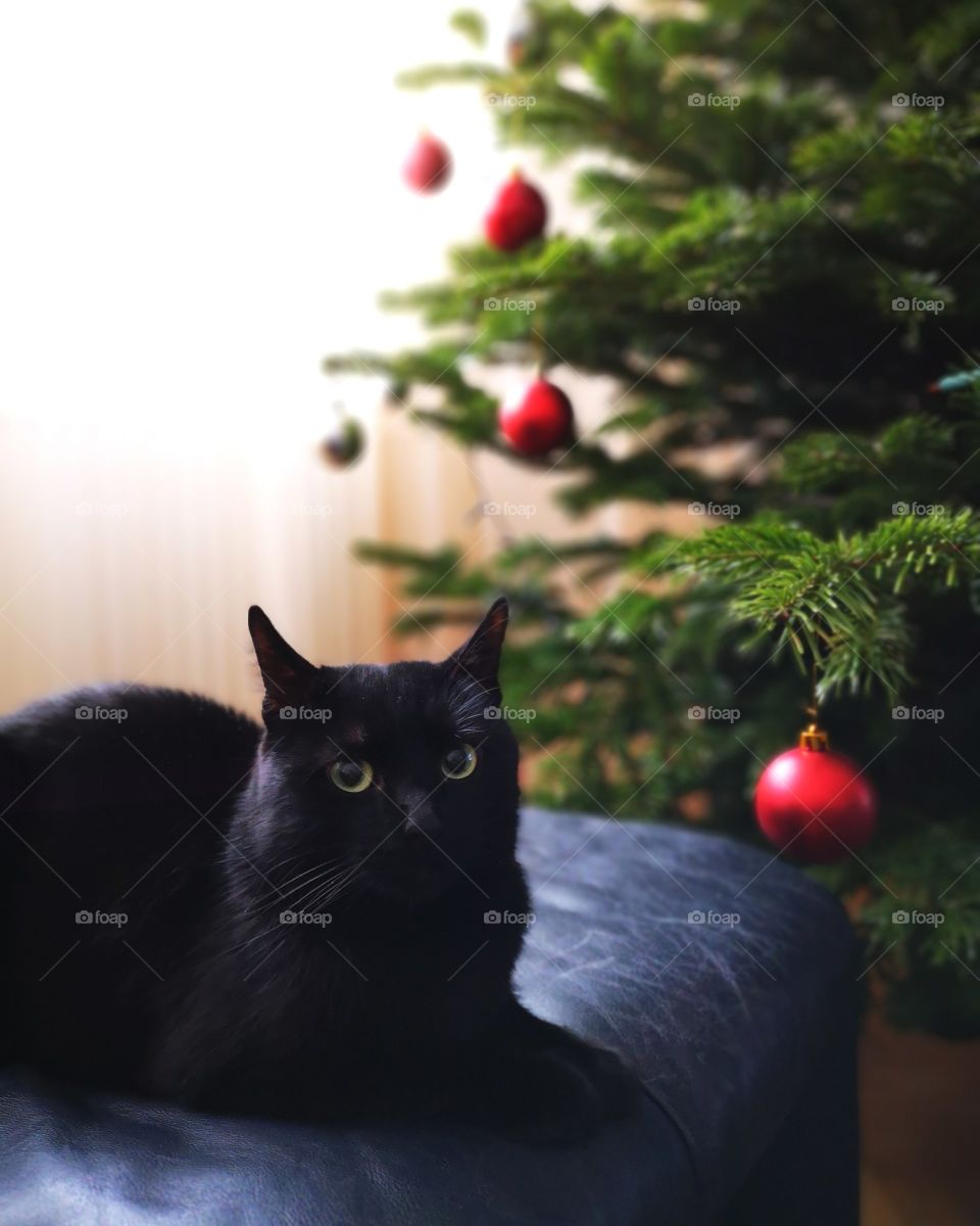 Avoiding the temptation...