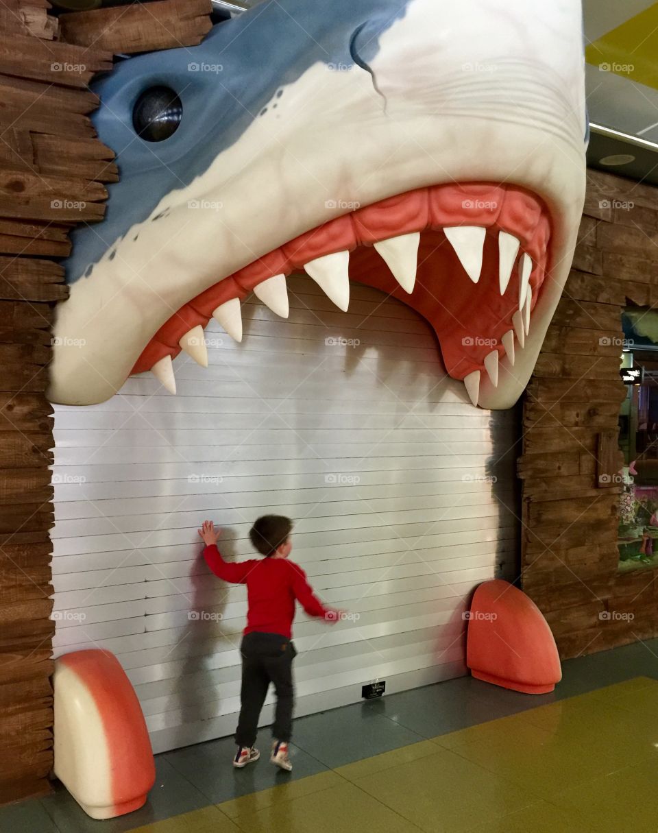 Shark Attack !