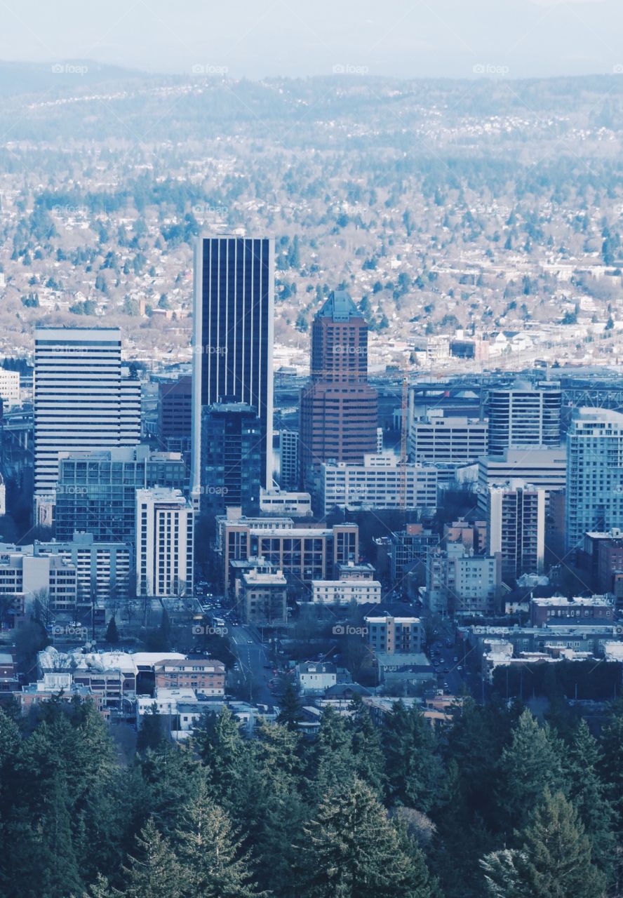 The Portland 
