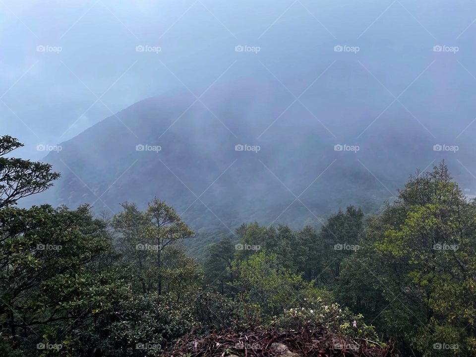 Surrounded by clouds and fog