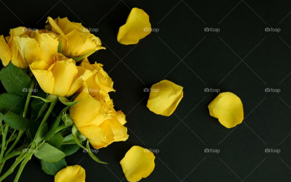 Yellow Roses