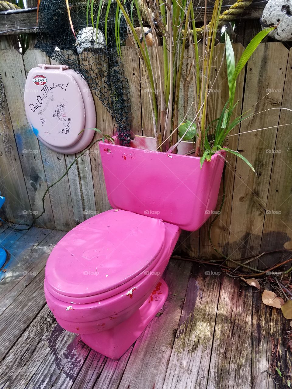 Pink Throne