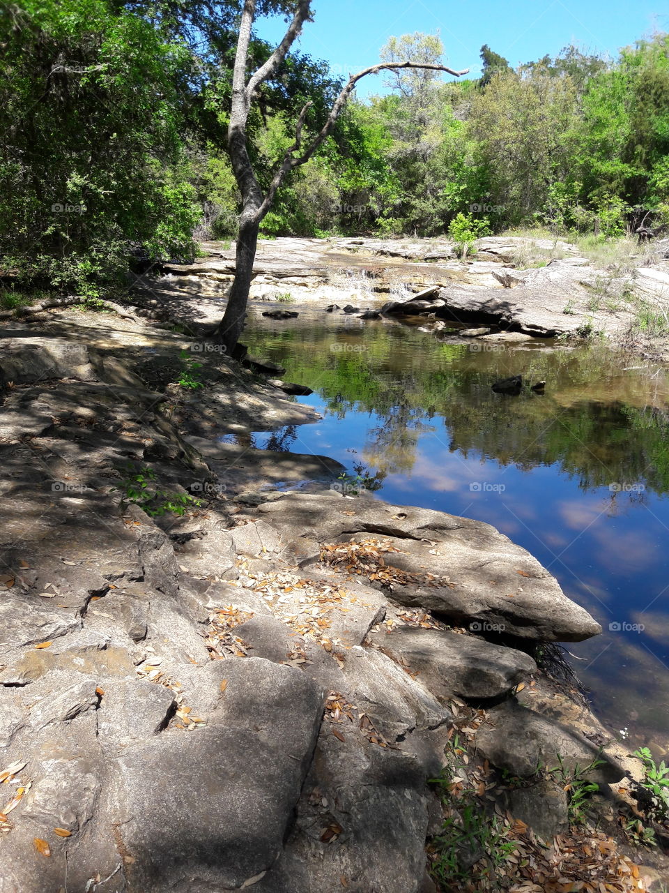 Park out of Brenham,TX.