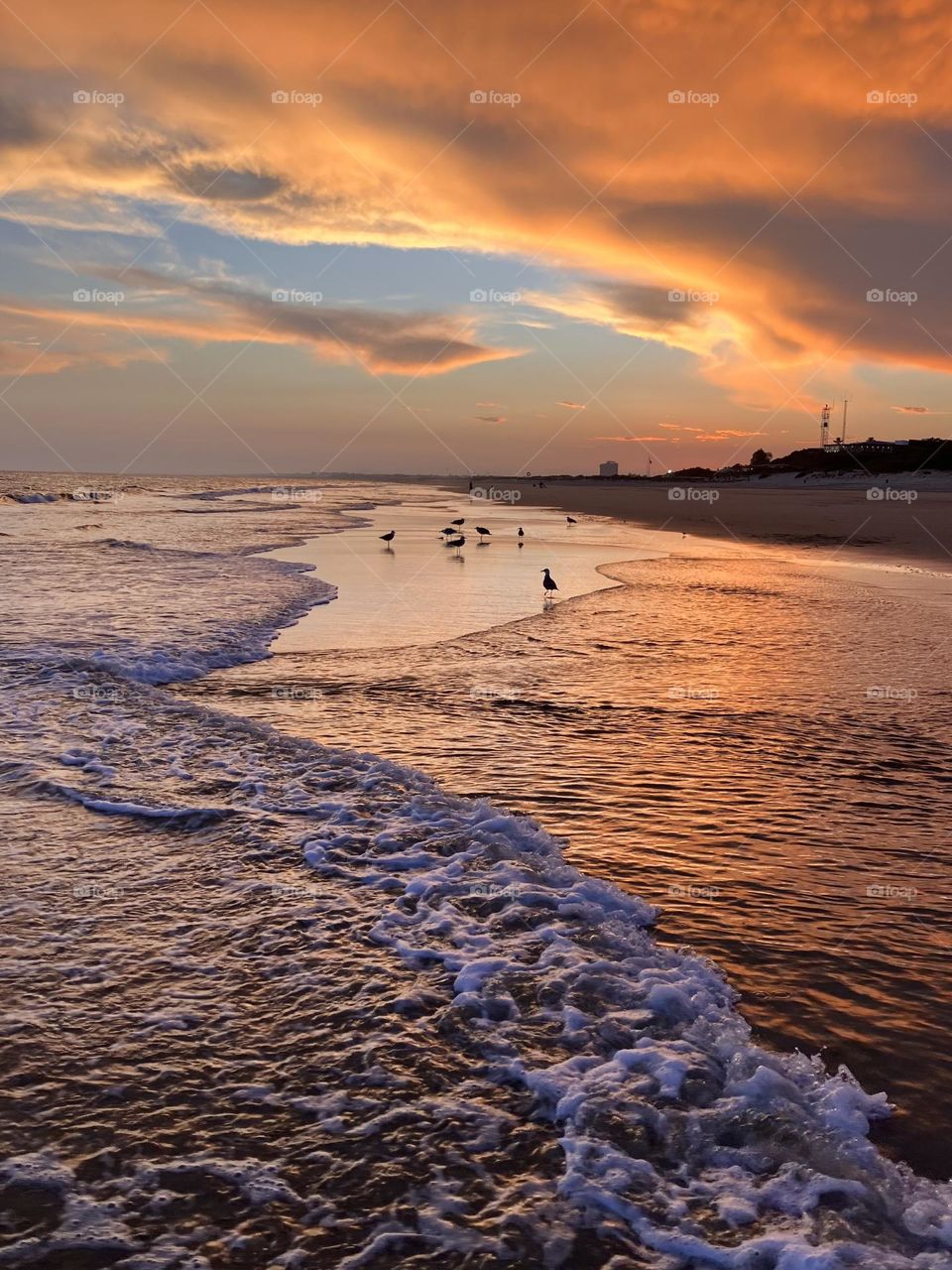 Seashore with evening light