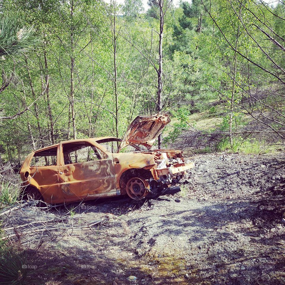 Wrecked in the woods