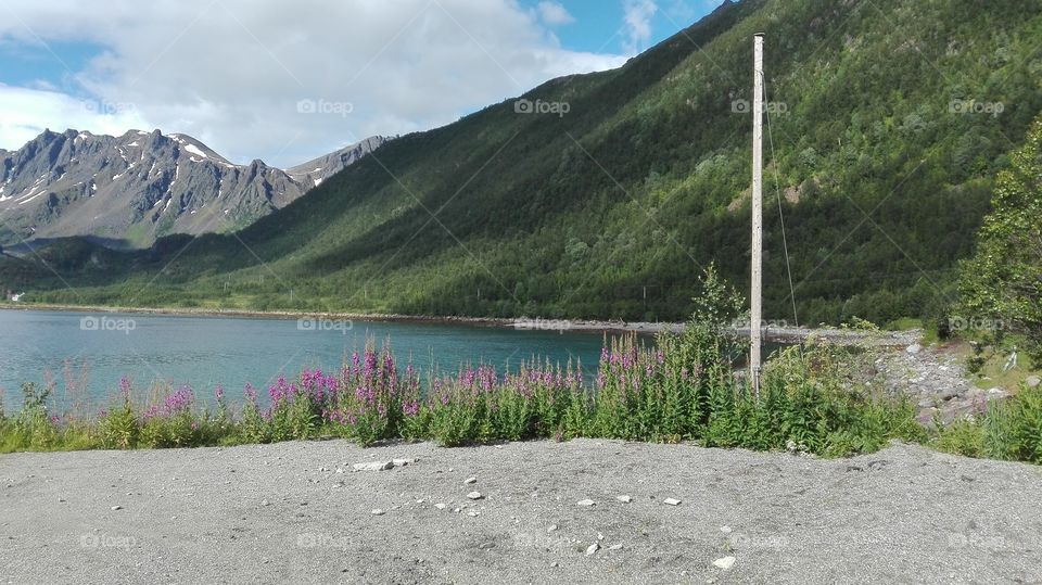 Beutiful landscape in Norway
