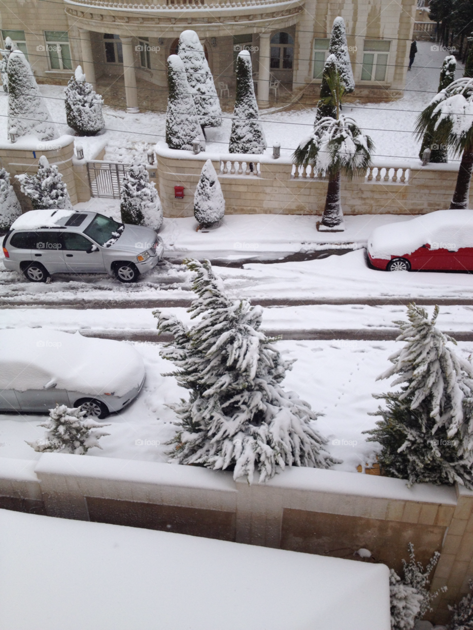 snow tree trees cars by a.bilbaisi