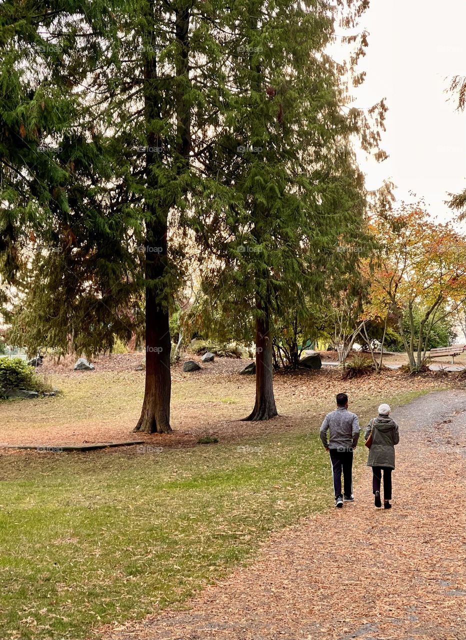 Couple walks in autumn park