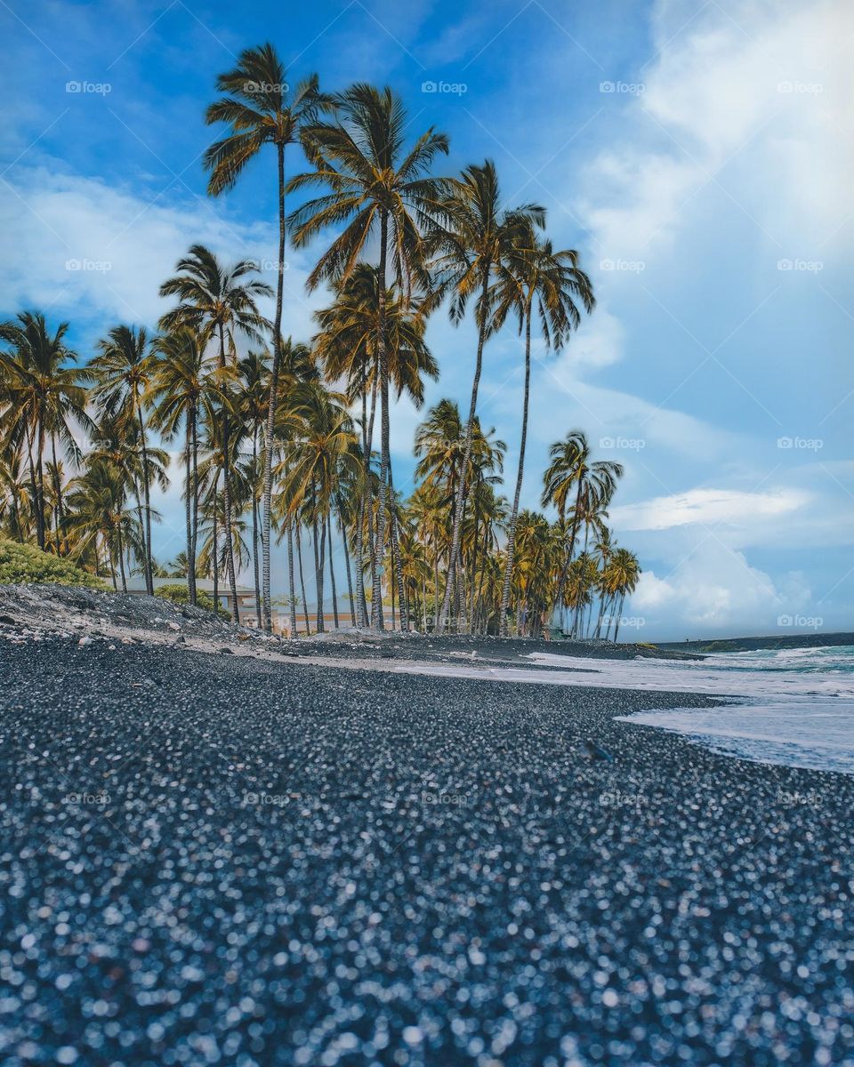 Beautiful beach natural landscape