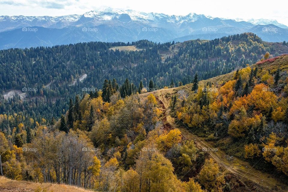 Beautiful mountain scenery