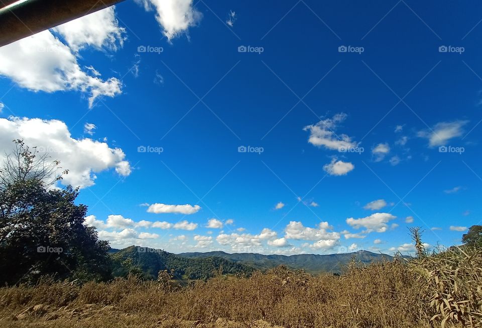 Dream without boundaries