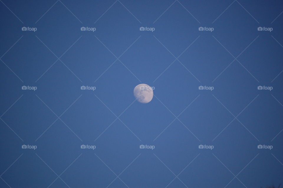 afternoon moon