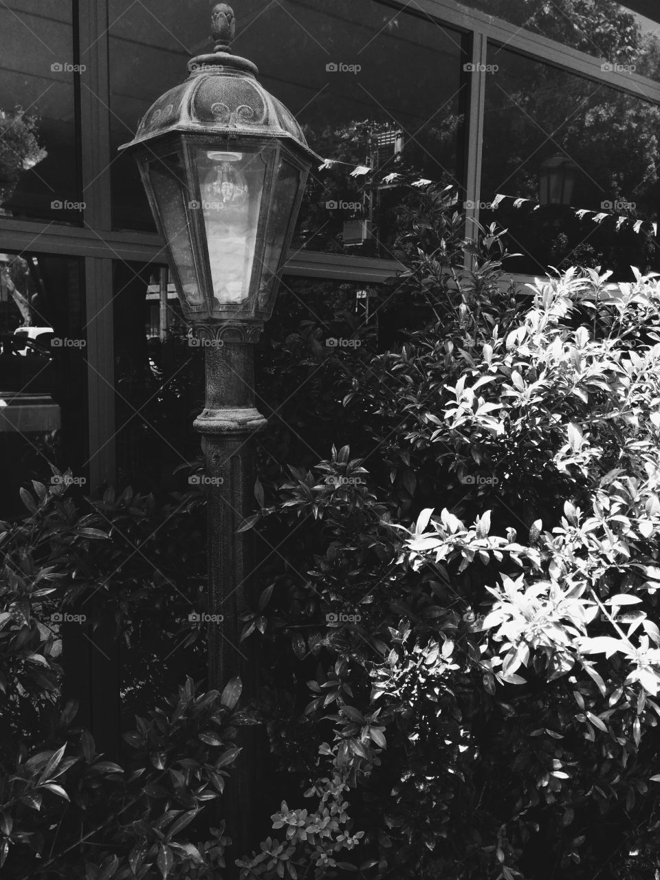 Lamppost