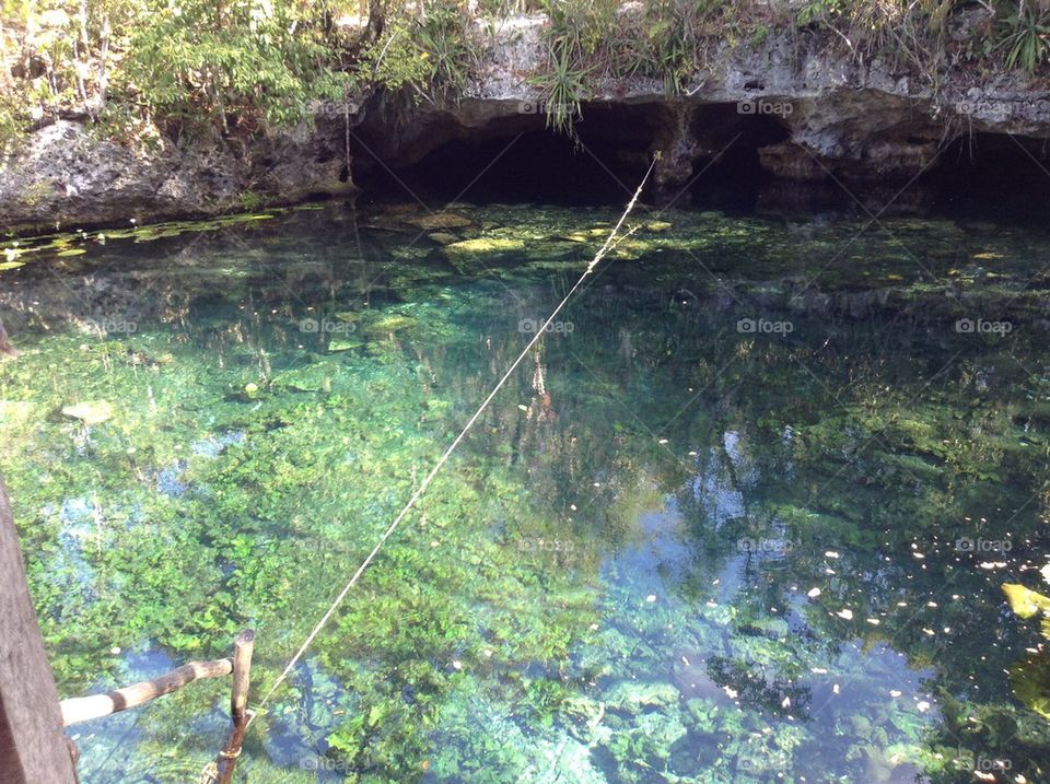 Cenote 