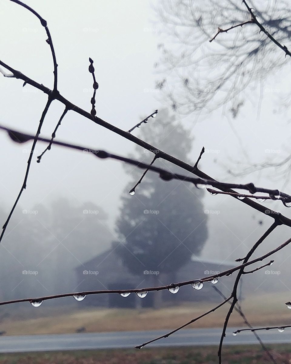 old barn in the fog