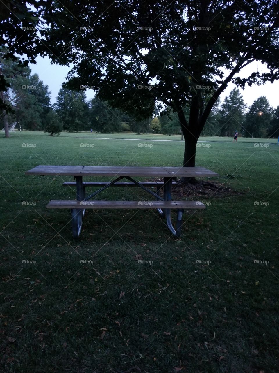 picnic bench