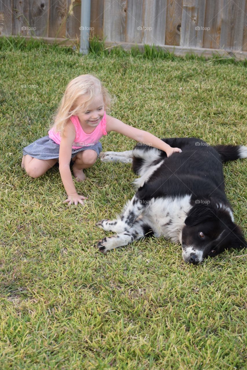 Girl playing with her dog. Toddler petting her dog