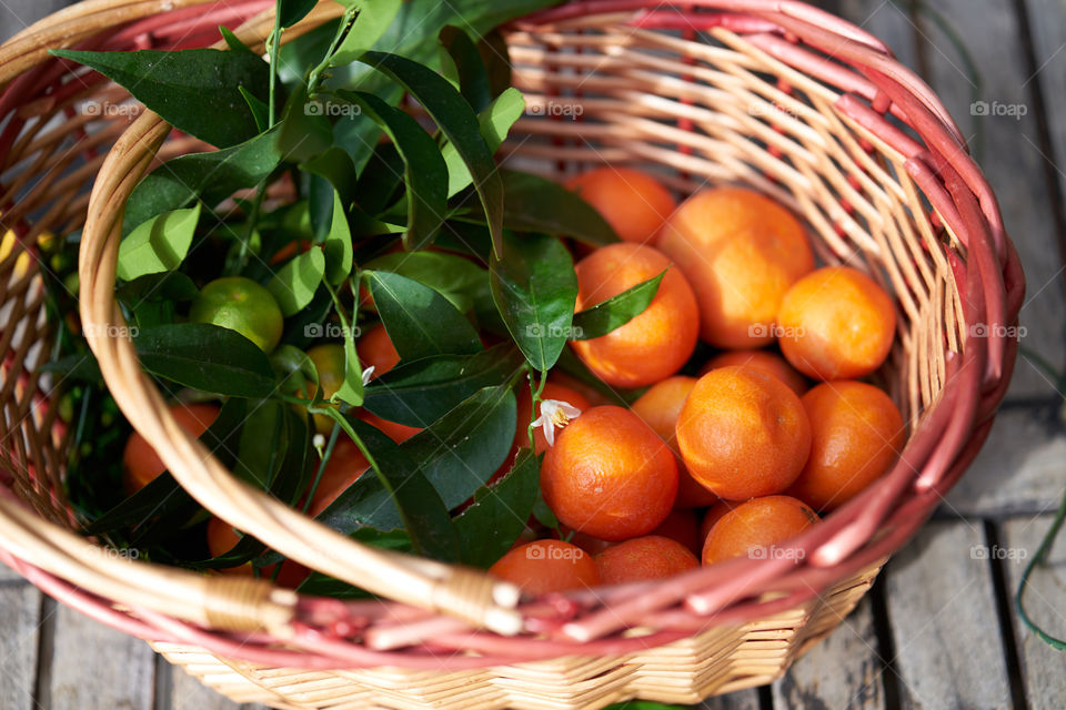 Tangerines in basket