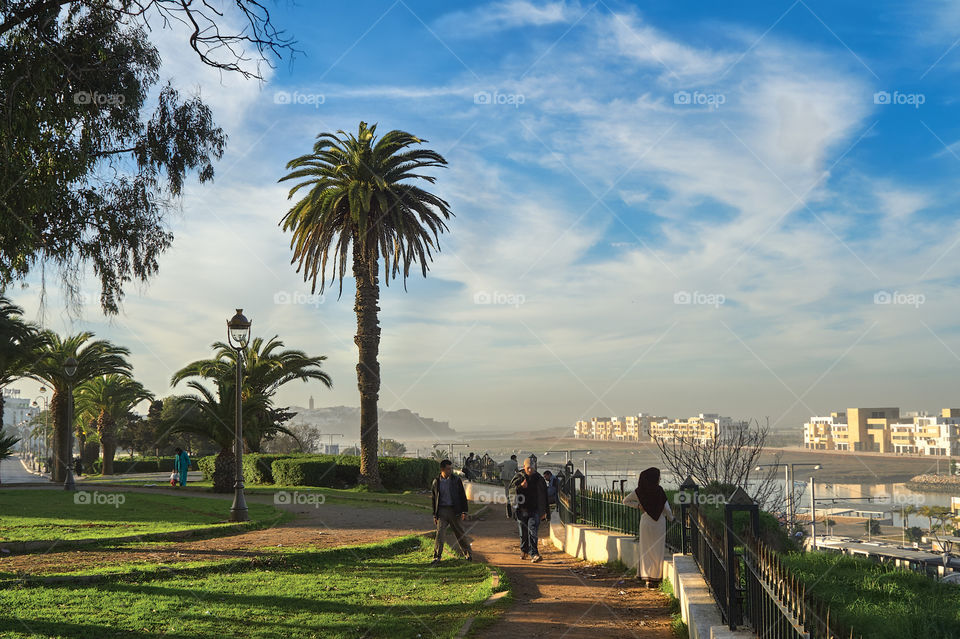 Park with palm trees, paths and a green lawn and people walking in the park over the river Bou Regrer (Rabat, Morocco) against the background of a river mouth covered with mist under a blue cloudy sky on a sunny spring day