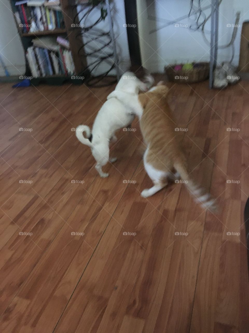 You can’t get me down I’m gonna win this wrestling match! Did you bring your lunch?