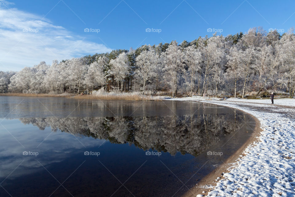 Sign of winter, frosty trees, reflections in partly ice covered lake in fair weather, landscape Sweden 