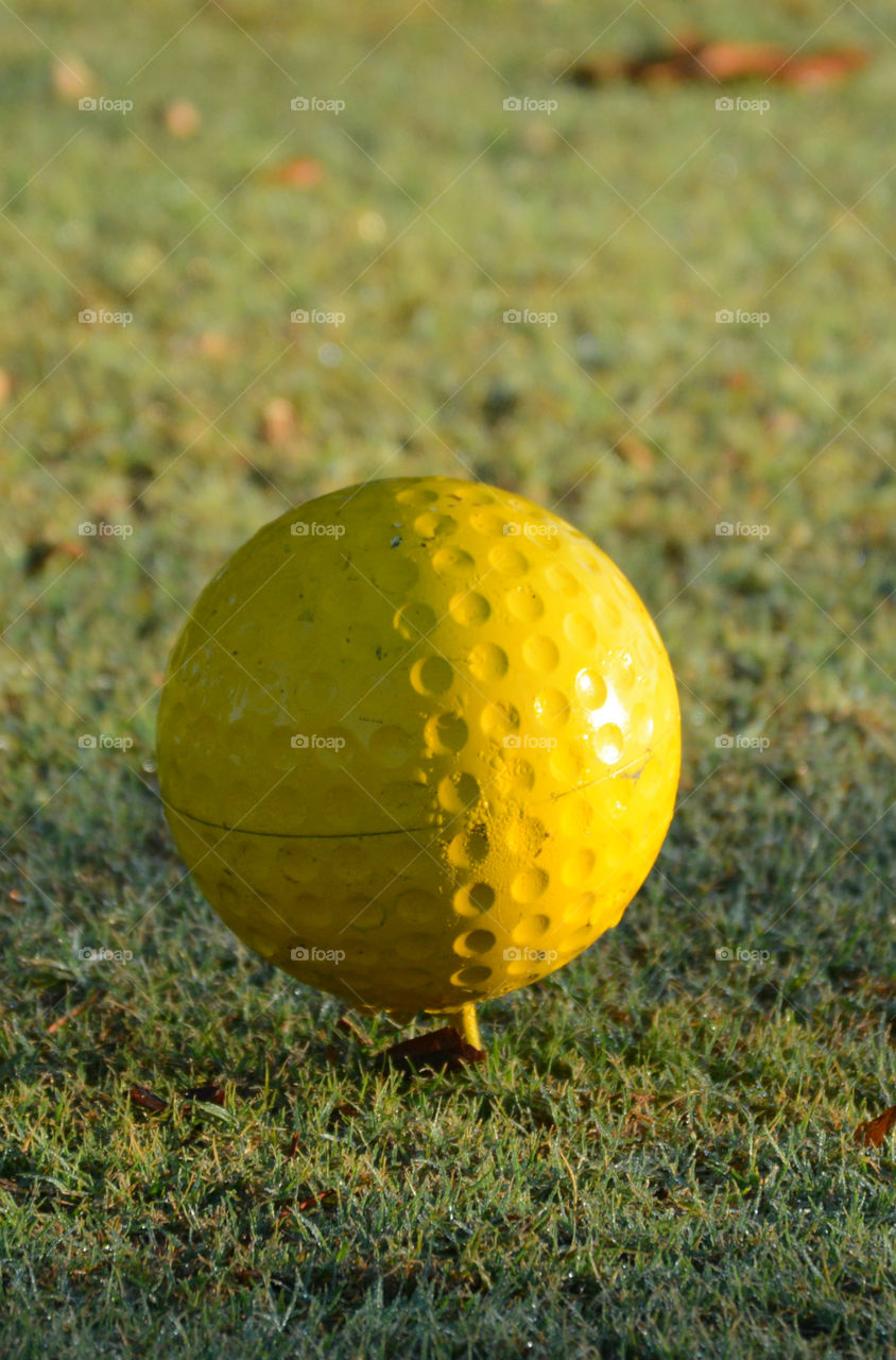 Yellow is my favorite color and it matches my disposition: cheerful and fun to be with, creative, critical of myself, and a perfectionist! Yellow is the best color to create enthusiasm for life and can awaken greater confidence and optimism! I love a challenge, particularly a mental challenge!