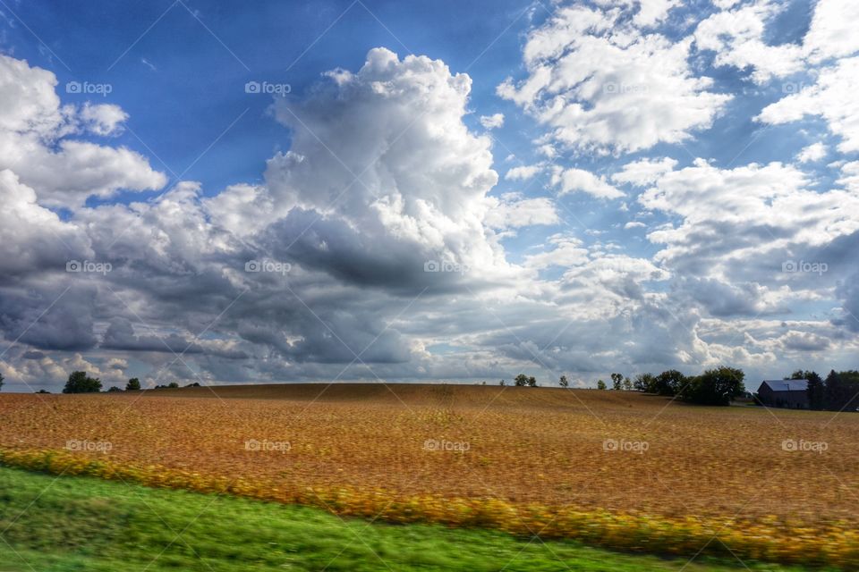 Nature. Autumn Colors