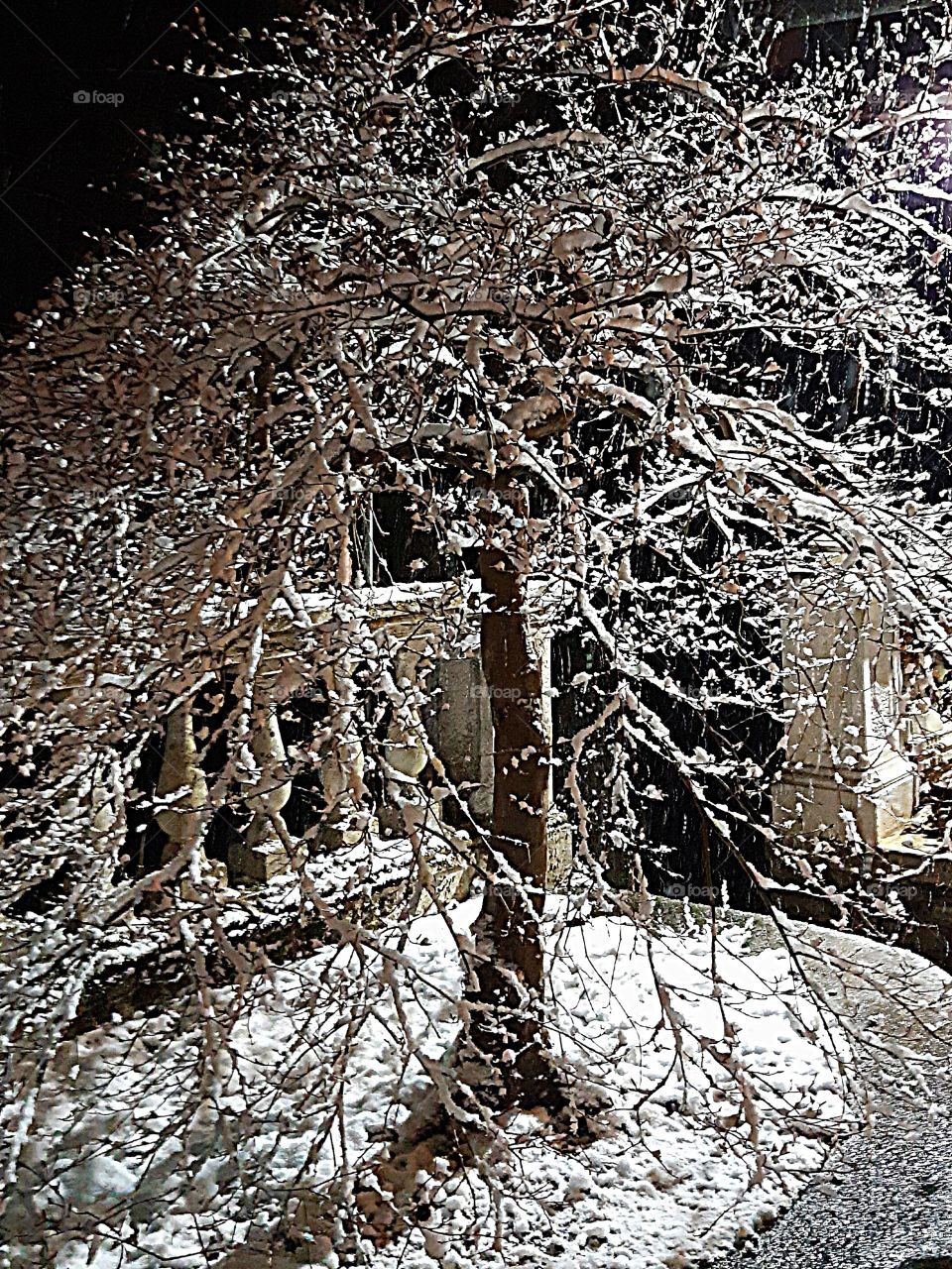 Springtime in Nothern Italy NOW!