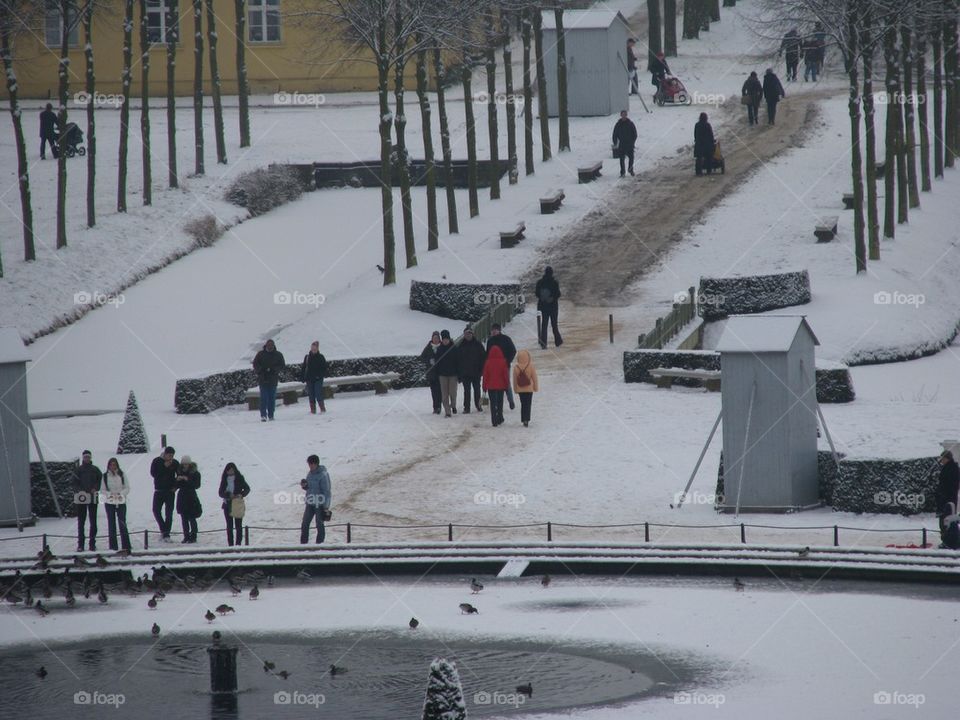 Winter Walk in Berlin