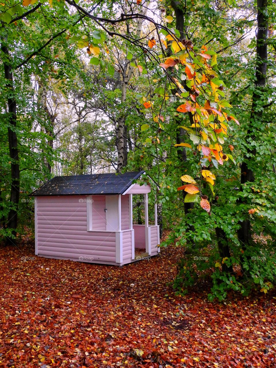 Pink beachhut