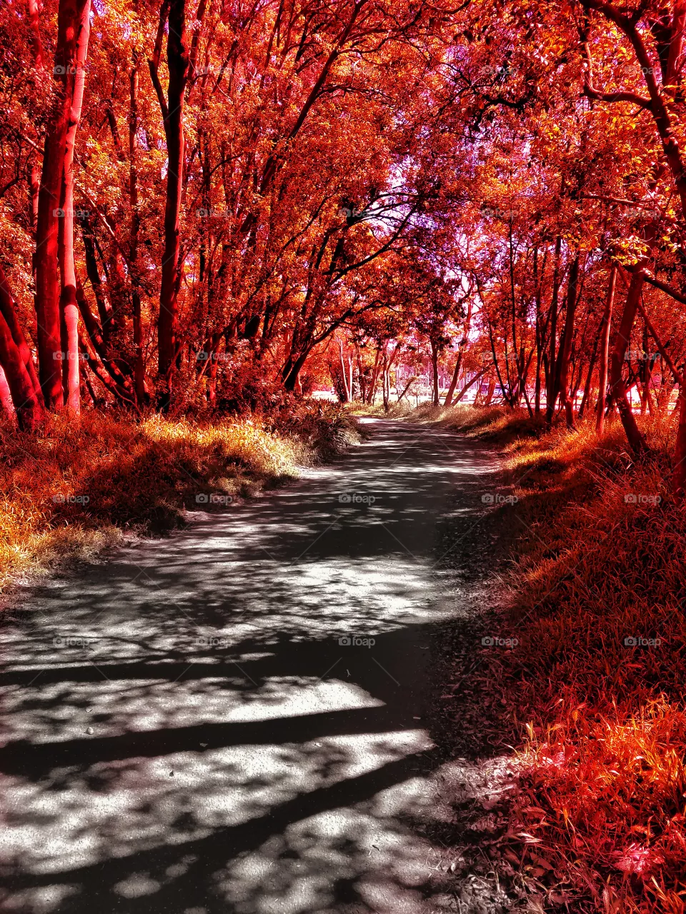 Alley...