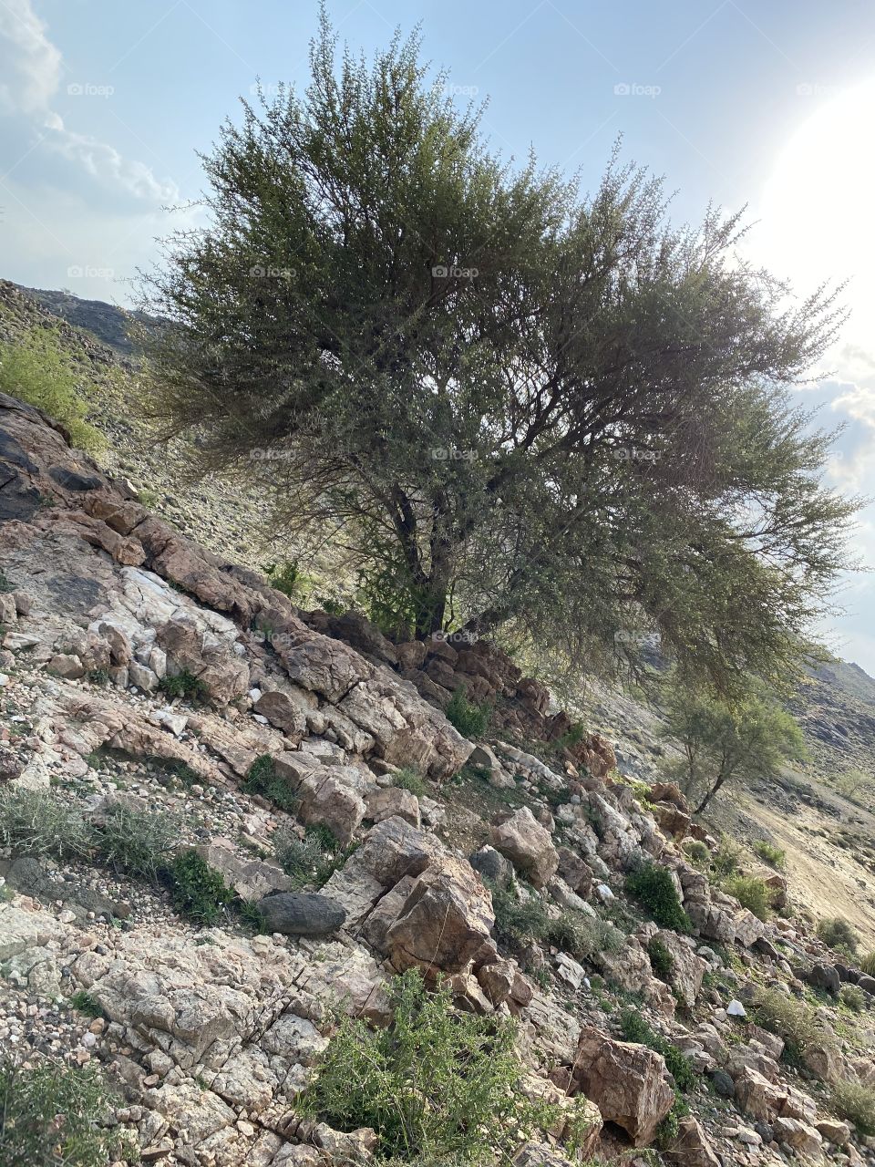  My trip to Taif with my family in 2020