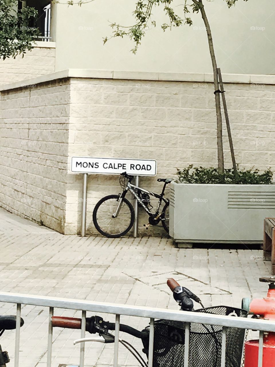 Road-bicycle-street-fun-outdoor 