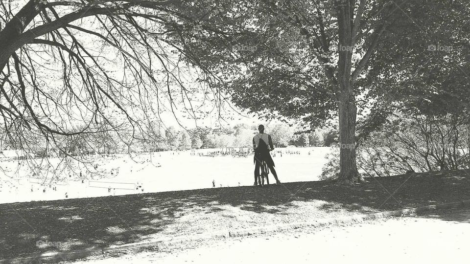 People, Tree, Winter, Snow, Adult