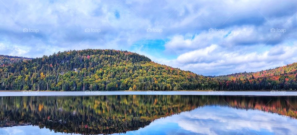 Nature in the mirror