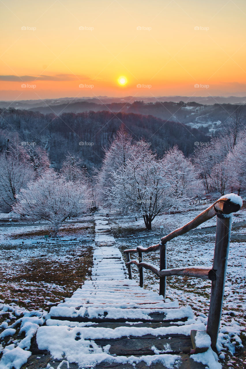 Beautiful scenery of wooden stairs leading into the forest at sunset in Croatia, county hrvatsko zagorje