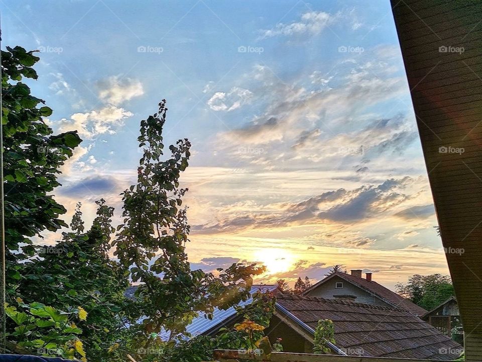 View from the terrace