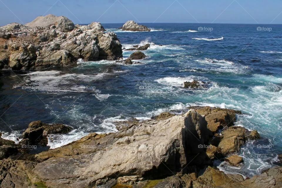 point Lobos