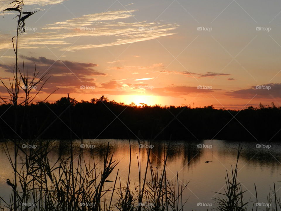 Sunsets and gators