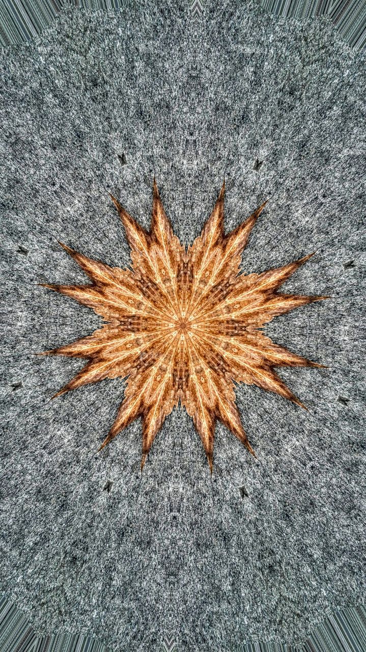 digital artwork of a leaf on concrete