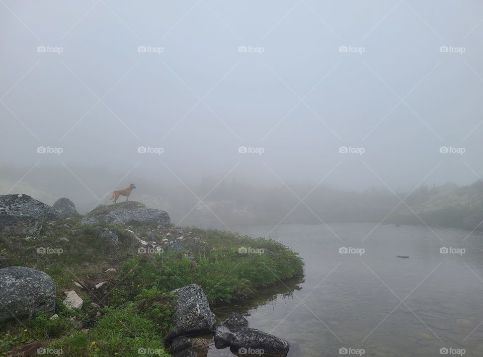 Fog and rain on a beautiful hiking adventure