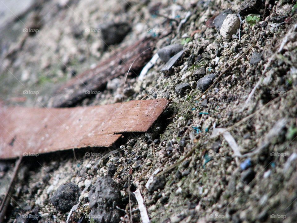 Close-up view of a piece of brown wood lying on the dusty ground with some small stones and scattered dust